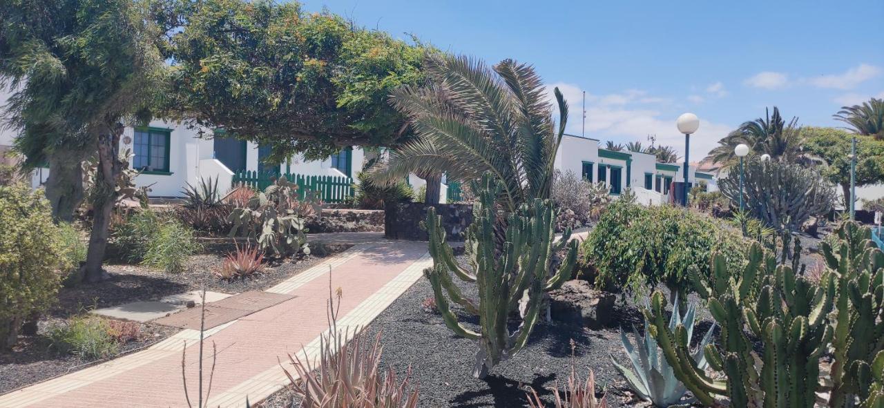 Casa Alice Cocosol Villa Costa De Antigua Kültér fotó